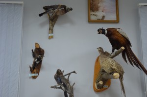 DSC_1148.JPG