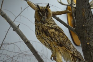 DSC_1170.JPG