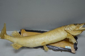 DSC_1204.JPG
